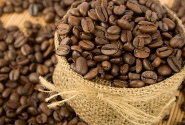 Proximidade da colheita pressiona preços do café e reduz ritmo de negociações