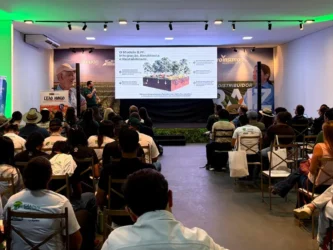 Mato Grosso mira integrar floresta, indústria e energia até 2040