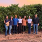 Rota do Café impulsiona produção em Nova Bandeirantes