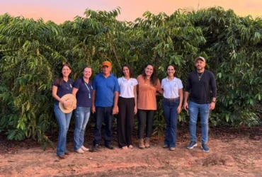 Rota do Café impulsiona produção em Nova Bandeirantes