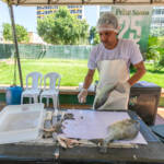 Peixe a R$ 25 atrai consumidores e segue até sexta-feira em Cuiabá