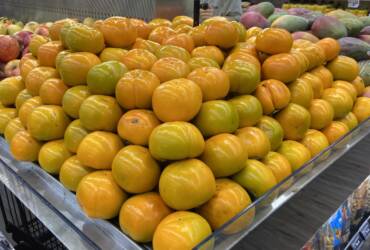 Safra de caqui ganha força no Paraná e amplia oferta com preços mais acessíveis