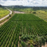 MT Produtivo inicia mobilização em 61 municípios com investimento de US$ 100 milhões para agricultura familiar