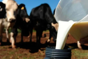 Leite reage no campo, derivados sobem e custos seguem pressionando o produtor