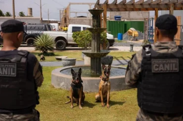 5º Torneio de Cães Policiais em Cuiabá reúne forças de segurança