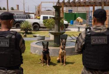 5º Torneio de Cães Policiais em Cuiabá reúne forças de segurança