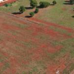 Tangará da Serra atinge nível máximo de descentralização ambiental e amplia autonomia para licenciamentos