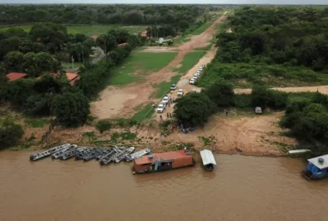 Transpantaneira