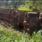 Carreta com mais de 5 mil frangos tomba na BR-163 em Lucas do Rio Verde