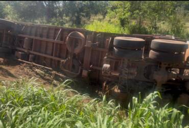 Carreta com mais de 5 mil frangos tomba na BR-163 em Lucas do Rio Verde
