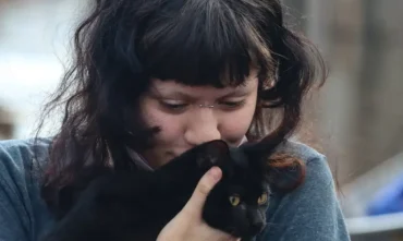 Castracao gratuita de cães e gatos em sp já soma mais de 1 milhão de procedimentos