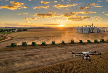 Agro em Dados: O Histórico de Lucas (2014-2024)