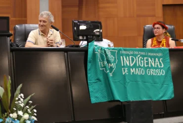Audiência da ALMT focada nos povos indígenas