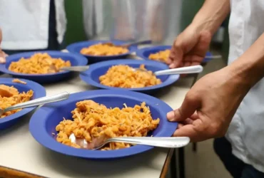 Plataforma reduz desperdício de alimentos em escolas públicas em até 72%