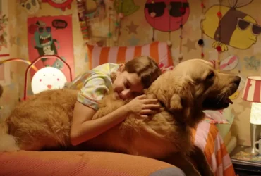 BIFF 2026 divulga programação e filmes selecionados em Brasília