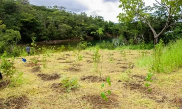 Parque da Serrinha do Paranoá não protege área destinada ao BRB