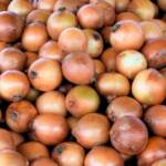 Chuvas na Argentina podem mudar mercado da cebola e favorecer Chile nas exportações ao Brasil