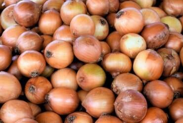 Chuvas na argentina podem mudar mercado da cebola e favorecer chile nas exportações ao brasil