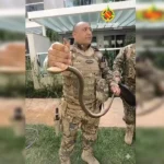 Olha a cobra! Serpente é resgatada dentro de condomínio na Asa Sul