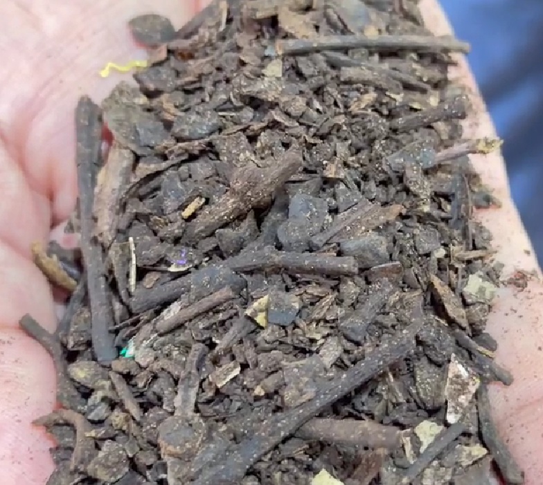 Compostagem nas escolas de Lucas do Rio Verde transforma resíduos em adubo de alta qualidade