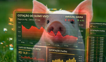 Preço do suíno hoje: como acompanhar?