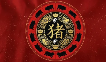 Horoscopo chines porco