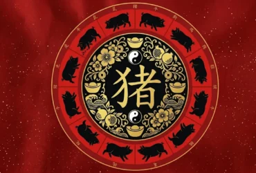 Horoscopo chines porco