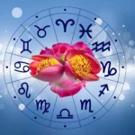 Horóscopo das flores: descubra qual flor combina com a personalidade do seu signo