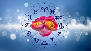 Horóscopo das flores: descubra qual flor combina com a personalidade do seu signo