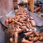 Oferta maior de mandioca pressiona preços, mas demanda industrial evita quedas mais intensas