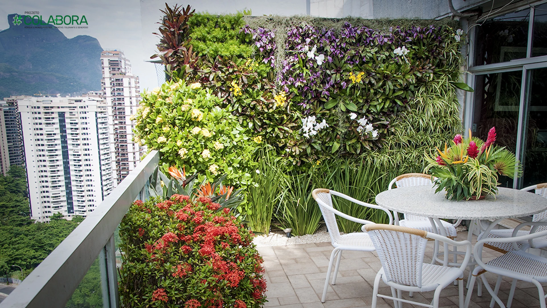 Jardins verticais apartamentos