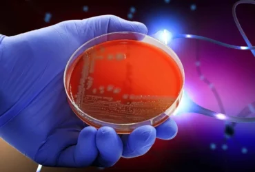 Meningite