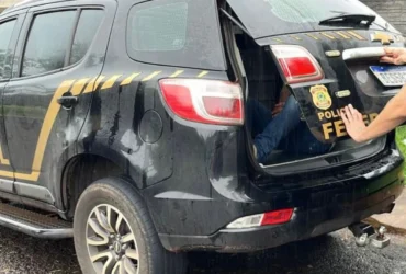 PF faz operação de combate a abuso sexual infantil em todo o país; agentes cumprem 175 mandados