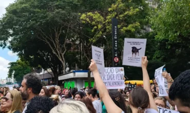 Cão Orelha: Justiça arquiva caso após pedido do Ministério Público