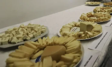 Acordo Mercosul-UE impulsiona importação de queijo mais barato no Brasil e amplia exportações
