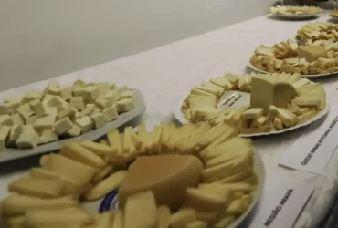 Acordo Mercosul-UE impulsiona importação de queijo mais barato no Brasil e amplia exportações
