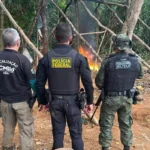 Operação da Polícia Federal intensifica combate a garimpo ilegal na Amazônia