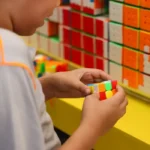Censo da educação básica 2026 inicia primeira etapa de coleta de dados