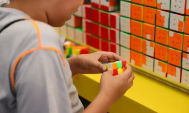 Censo da educação básica 2026 inicia primeira etapa de coleta de dados