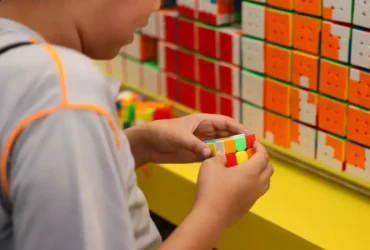 Censo da educação básica 2026 inicia primeira etapa de coleta de dados