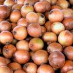Queda de qualidade de cebola limita escoamento na Ceagesp