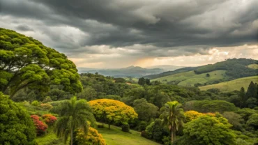 Tapurah em 05/05/2026: manhã nublada e calor em alta