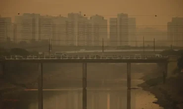 Carbono: Fazenda define setores que deverão relatar emissões a partir de 2027