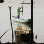 Pesca: conferências estaduais ocorrem em junho e julho