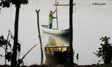 Pesca: conferências estaduais ocorrem em junho e julho