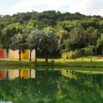 Inhotim celebra 20 anos com novas atrações e exposições em 2026