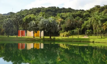 Inhotim celebra 20 anos com novas atrações e exposições em 2026