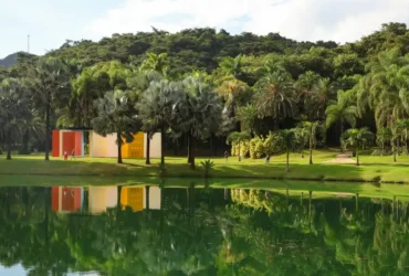 Inhotim celebra 20 anos com novas atrações e exposições em 2026