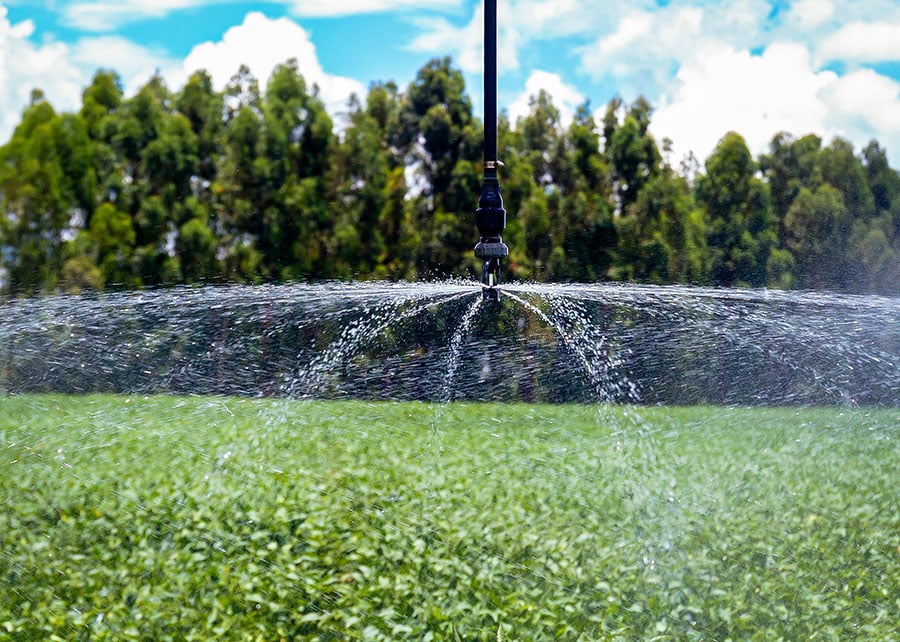 260428_MonitoramentoSatéliteIrrigação_Wenderson_Flickr CNA