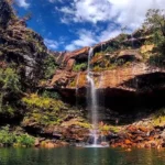 Onça ataca criança de 8 anos na Chapada dos Veadeiros